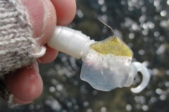 IMG_1214 IMG_1214