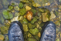 IMG_1218 IMG_1218