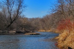 IMG_1238 IMG_1238