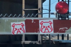 IMG_1248 IMG_1248