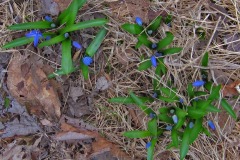 IMG_1258 IMG_1258