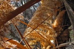 IMG_1282 IMG_1282