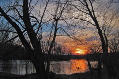 IMG_1309 IMG_1309