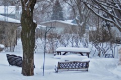 IMG_1193 IMG_1193