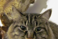 IMG_1208 IMG_1208
