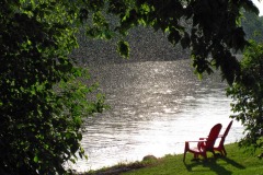 IMG_1499 IMG_1499