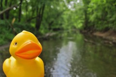 IMG_1530 IMG_1530