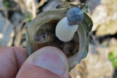 IMG_1375 IMG_1375