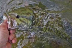 IMG_1384 IMG_1384