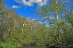 IMG_1390 IMG_1390