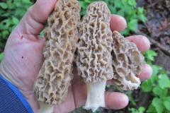 IMG_1400 IMG_1400