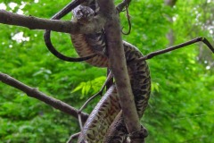 IMG_1456 IMG_1456
