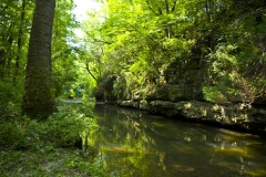 Franklin Creek Franklin Creek