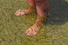 IMG_1832 IMG_1832