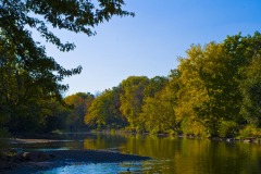 _IMG1234 _IMG1234