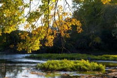 _IMG1256 _IMG1256