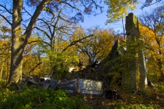 _IMG1495 _IMG1495