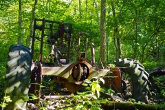 _IMG0699 _IMG0699