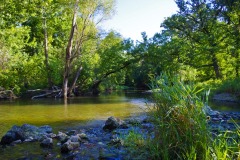 _IMG0719 _IMG0719