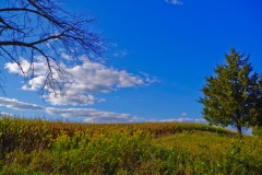 _IMG0819 _IMG0819