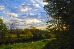 _IMG0965 _IMG0965