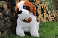 IMG_3665 IMG_3665