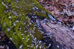 _IMG2254 _IMG2254