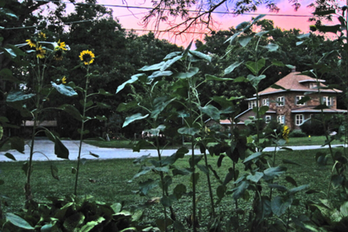 View from the Porch – Clouds on the Horizon