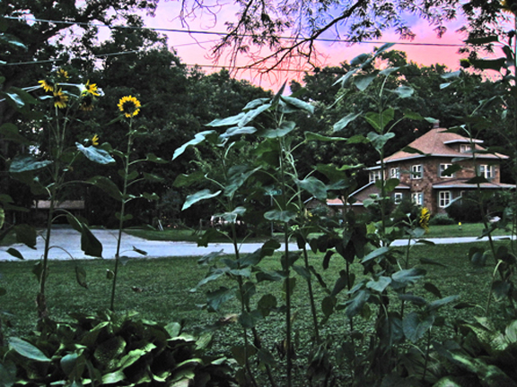 View from the Porch – Clouds on the Horizon