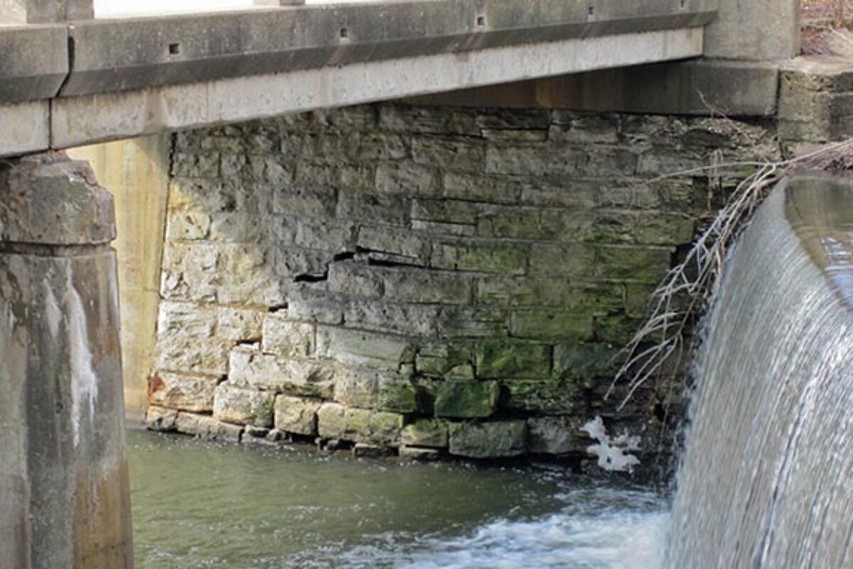 Fox River Connectivity & Habitat Study – Dam Removals