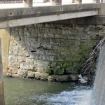 Fox River Connectivity & Habitat Study – Dam Removals