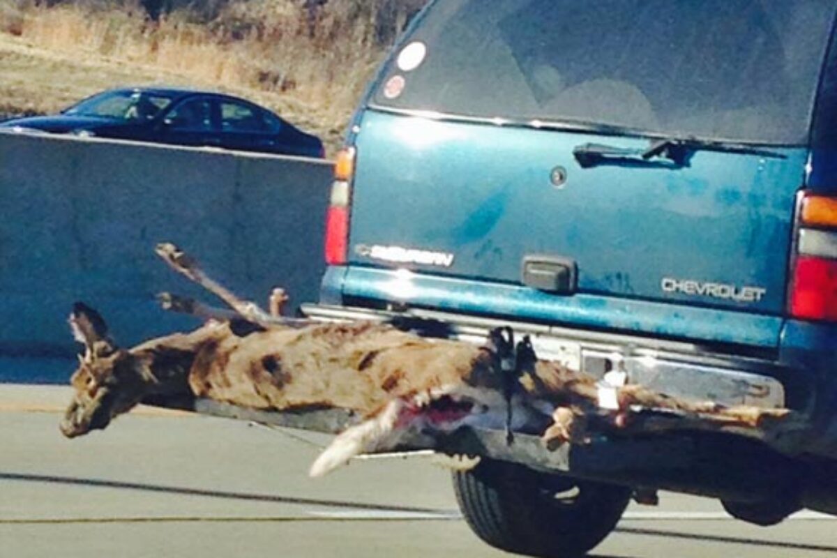 Driving on 290 Toward Rockford