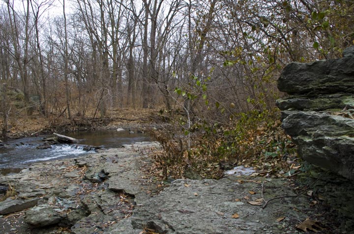 If there were trout in Illinois, which there isn't, they would live here.