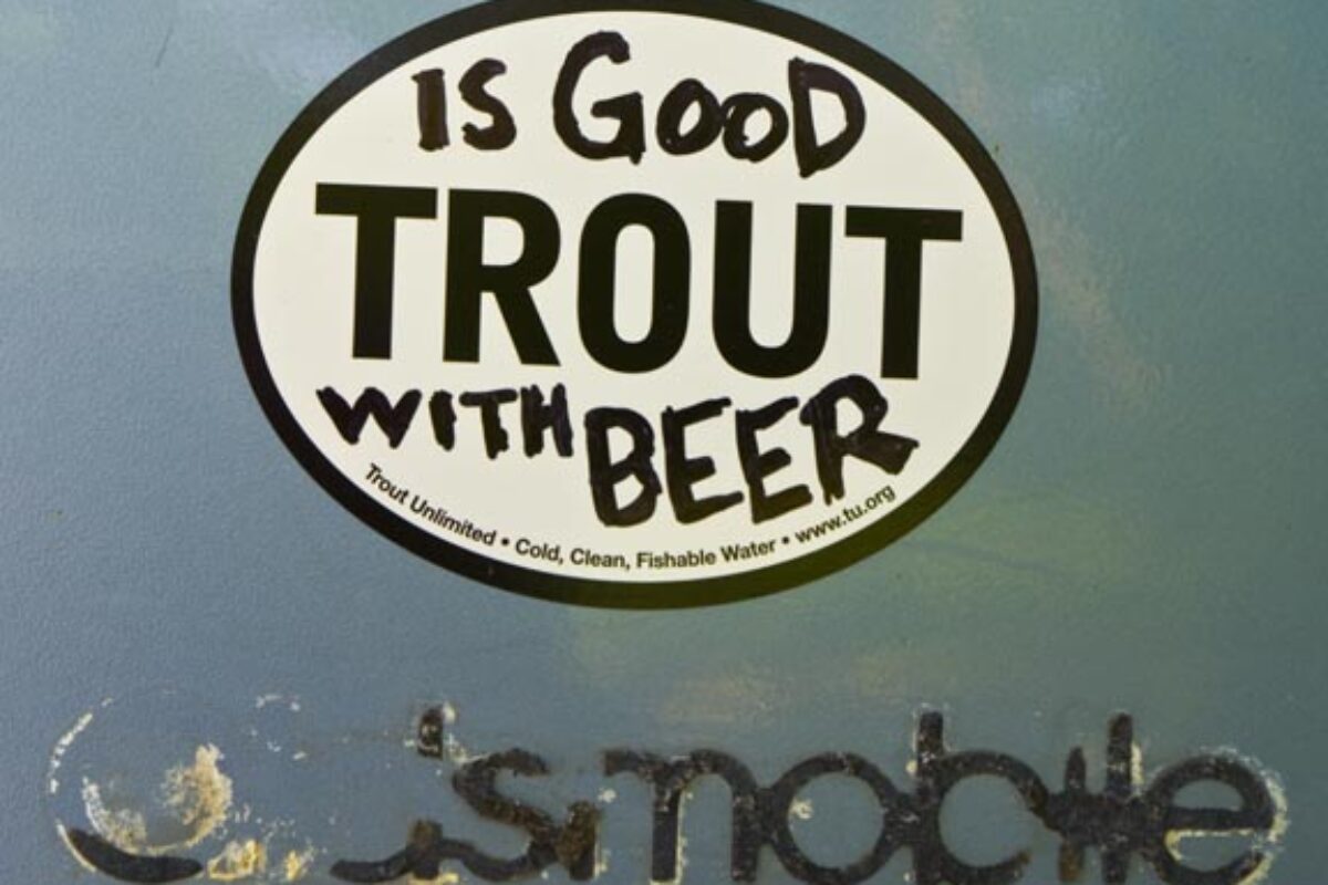 Trout Is Good With Beer