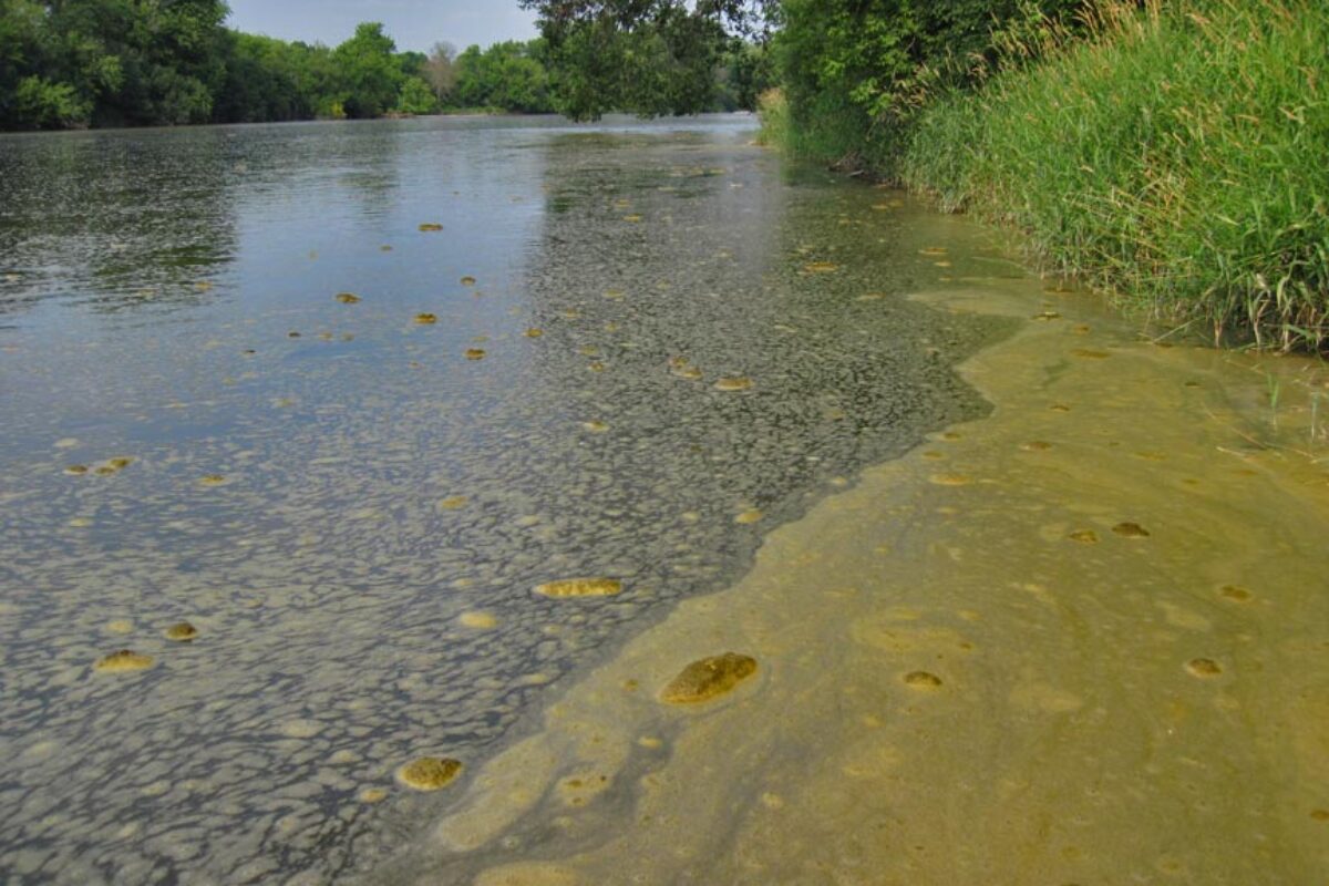 Fox River Scum