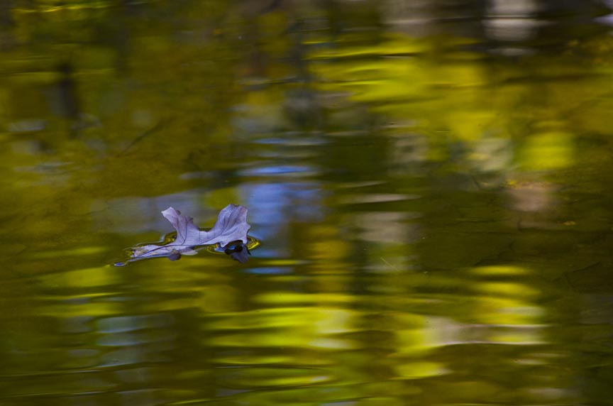 Water Reflections