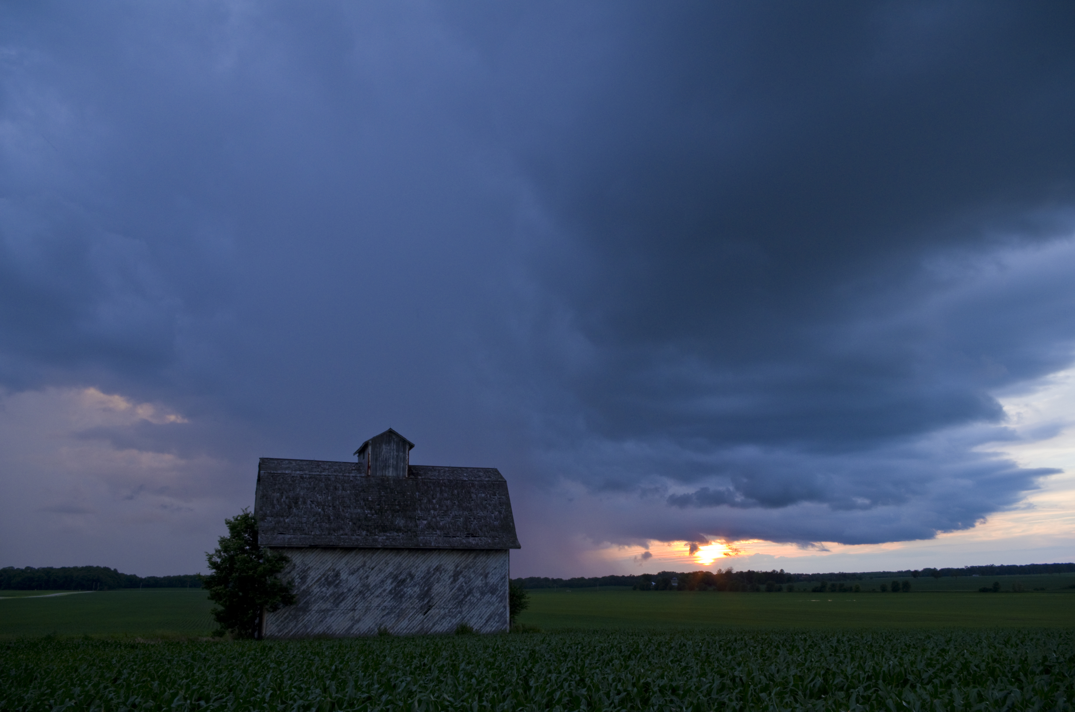 the barn