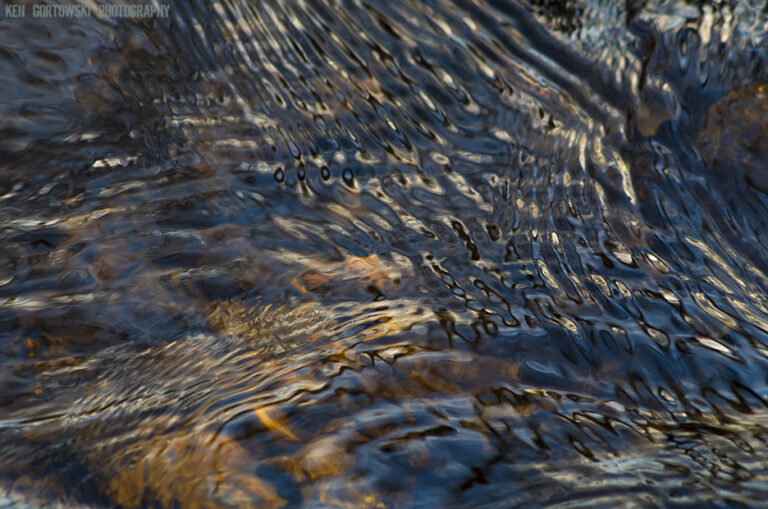 ChatGPT Fly Fishing Creeks with Robert