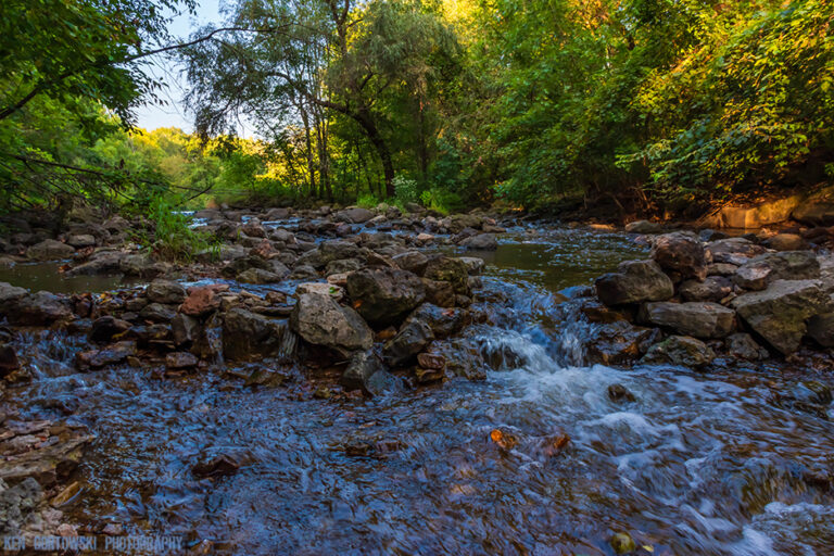 ChatGPT Fly Fishing Creeks with Ethan Again