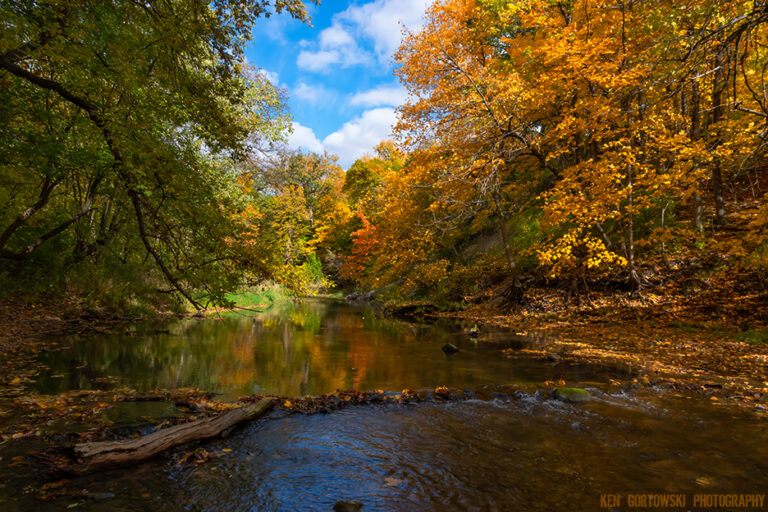 Fishing the Apple River at Peak Fall Color