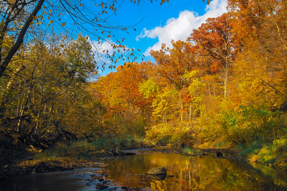 ChatGPT Fly Fishing Creeks with Ethan