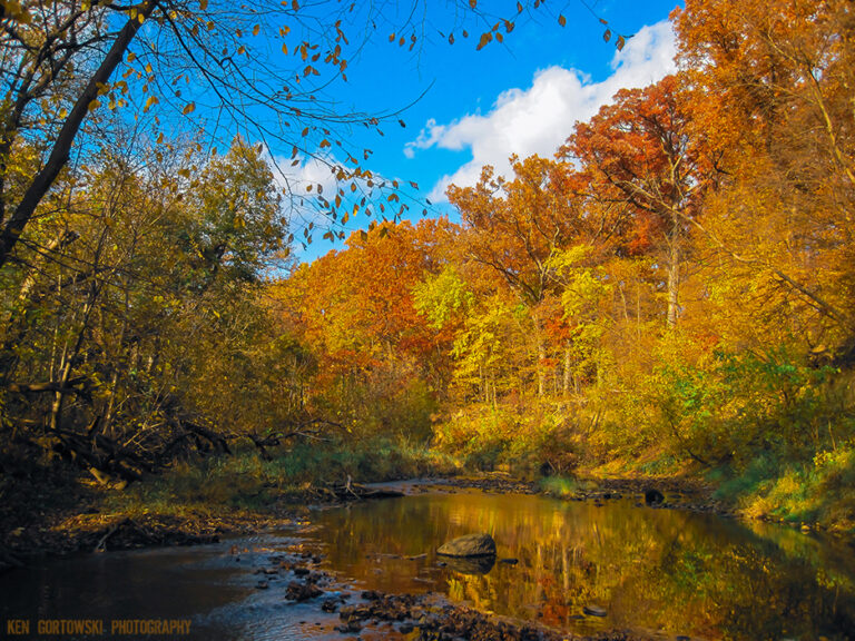 ChatGPT Fly Fishing Creeks with Ethan