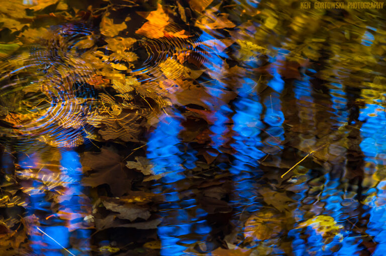 Fly Fish the Fox River at Peak Fall Color