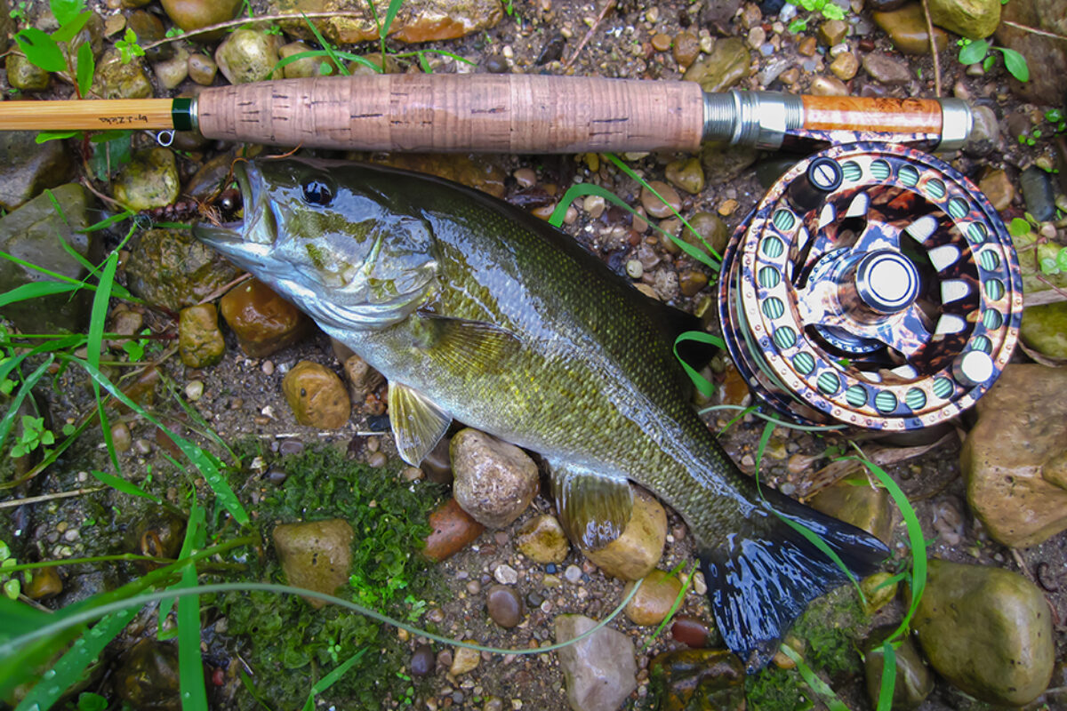 Fly Fishing the Fox River