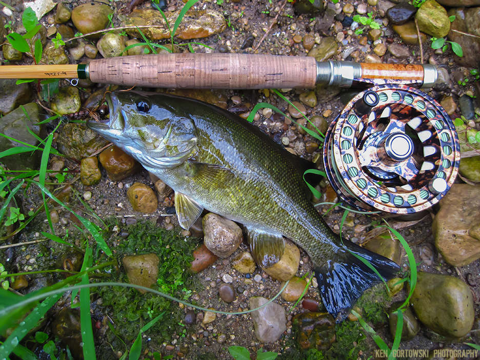 Fly Fishing the Fox River