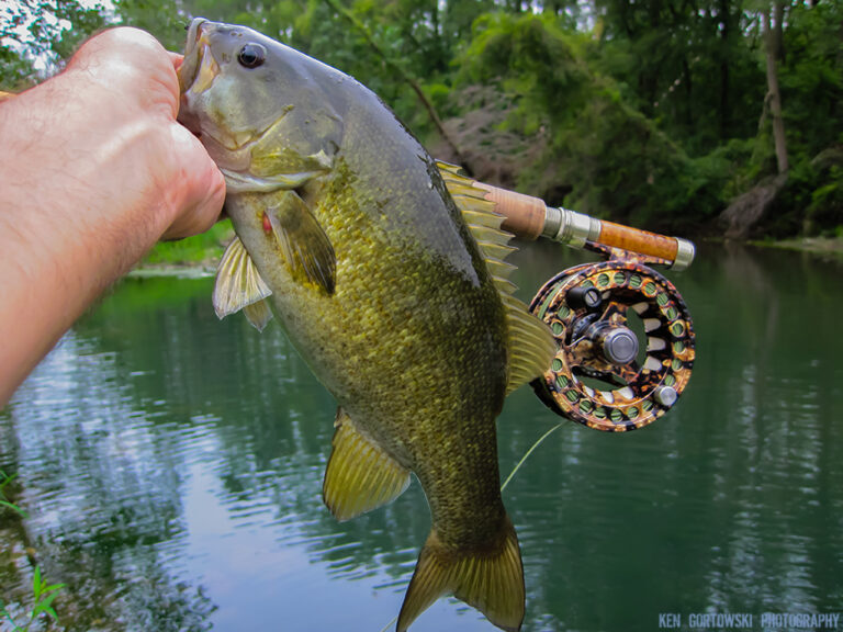 Fly Fish the Fox River Again